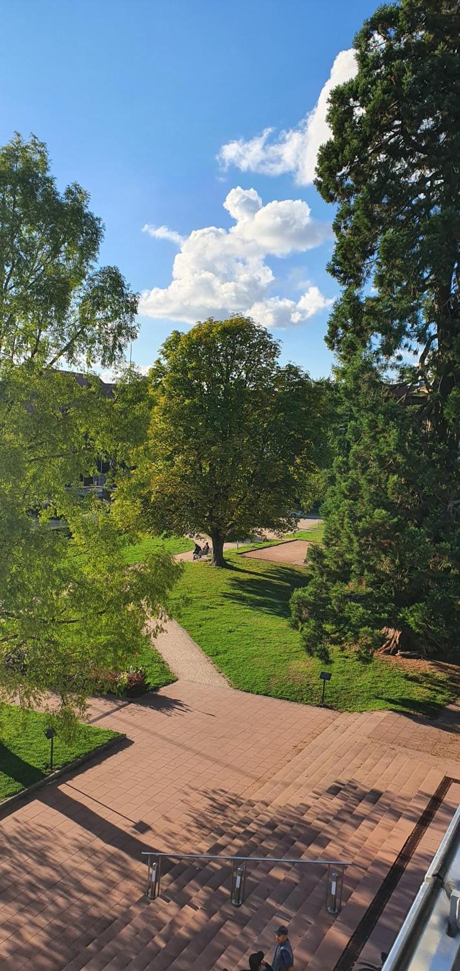 Haus Ludwig Lägenhet Freudenstadt Exteriör bild